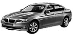 BMW F10 U255A Fault Code